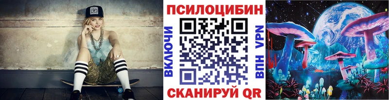 купить   Гвардейск  Галлюциногенные грибы Psilocybe 