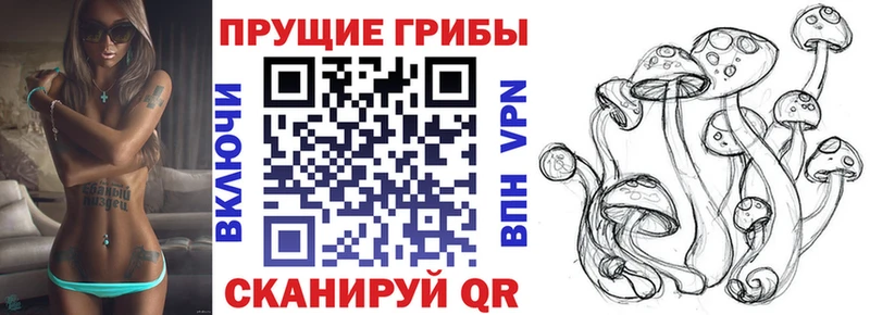 Галлюциногенные грибы мицелий Гвардейск